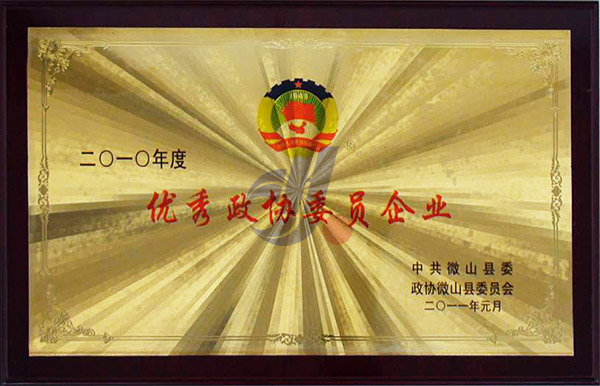 2011年縣委政府委員會(huì)授予''優(yōu)秀政協(xié)委員企業(yè)''